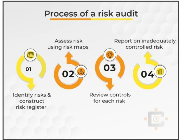Process of Risk Audit